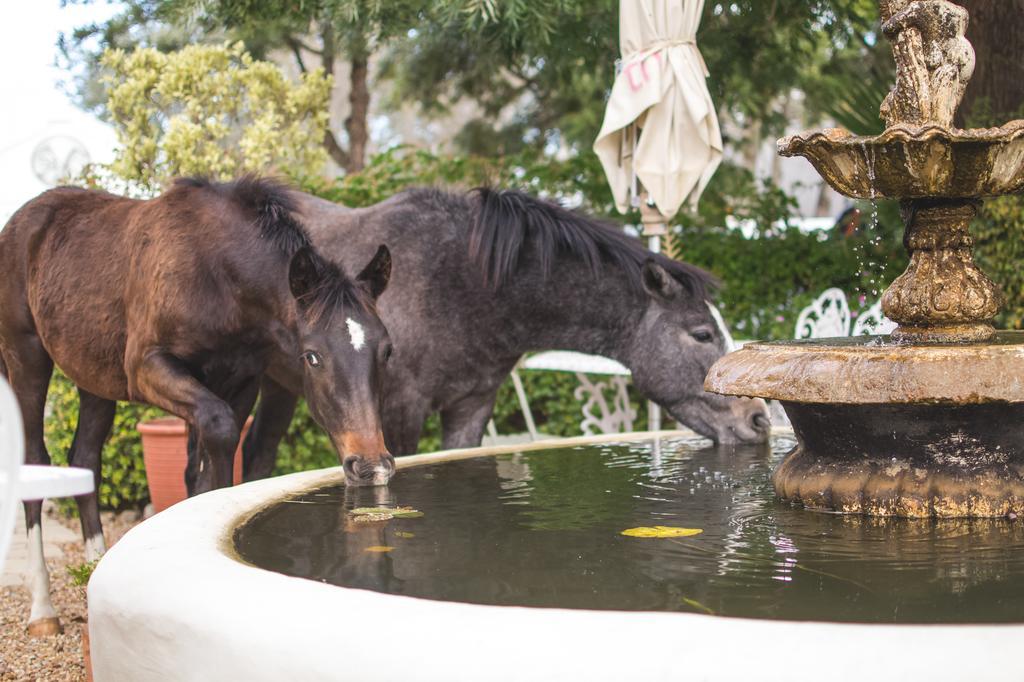 The Post House Hotel - No Children Under The Age Of 16Yrs Greyton Buitenkant foto